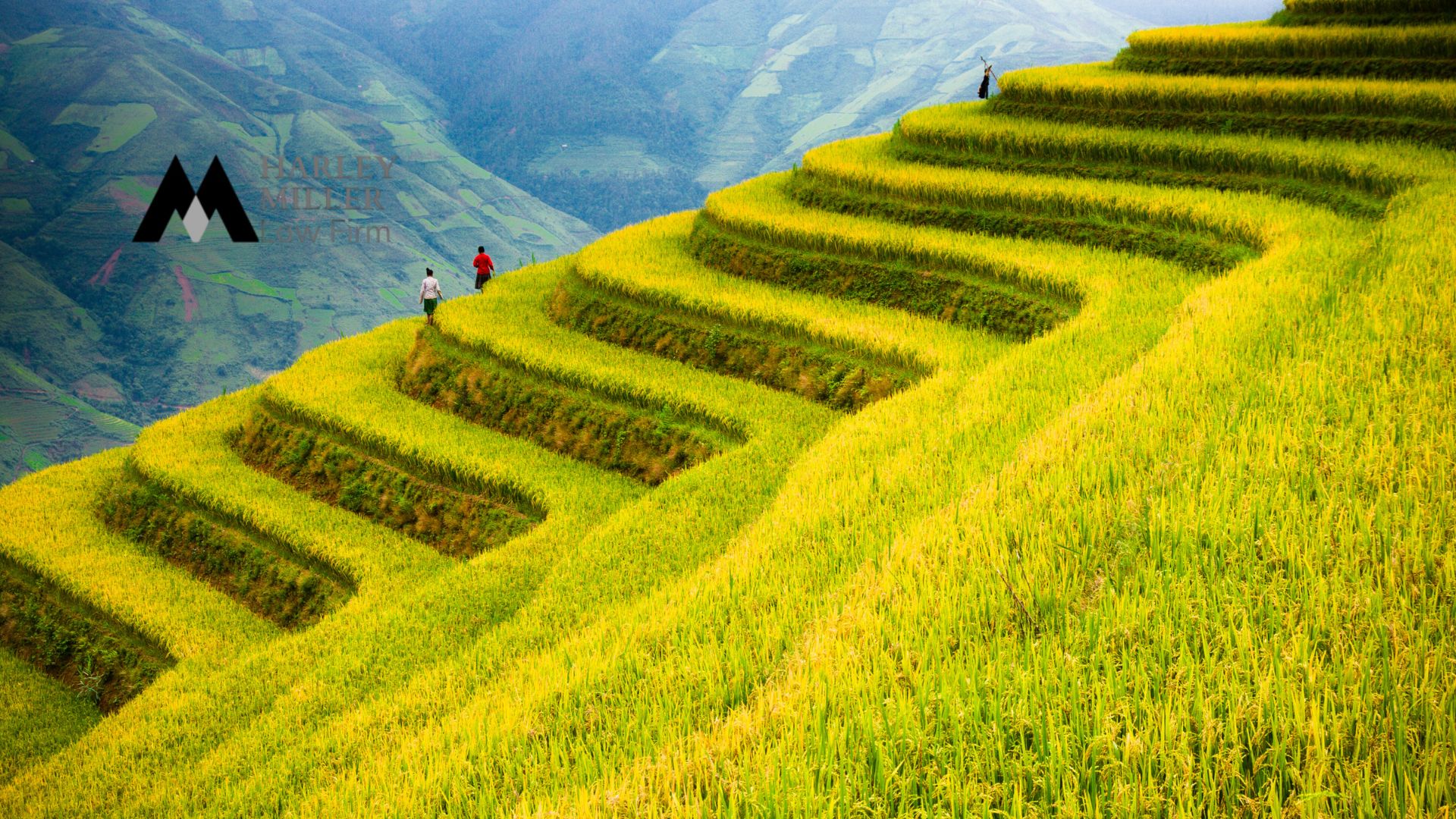 Gifting Assets and Capital Contributions in Vietnam